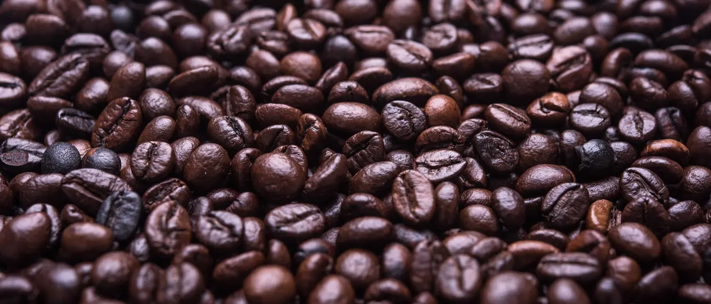 Headless CMS der nächsten Generation.